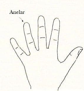 anelar dedos quiromancia magia