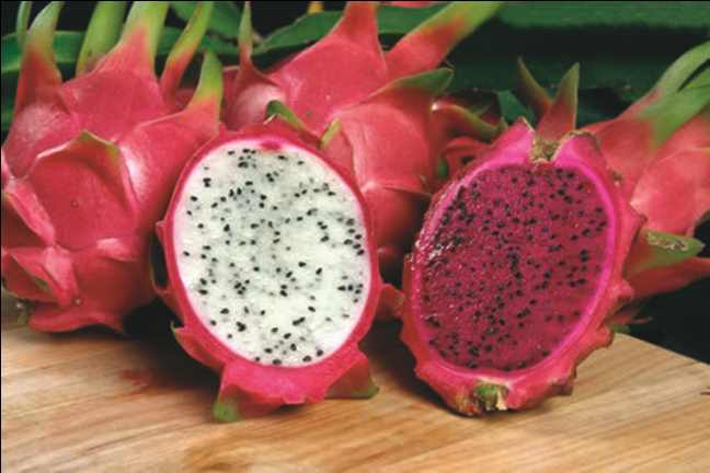 pitaya saúde vitamina câncer coração 