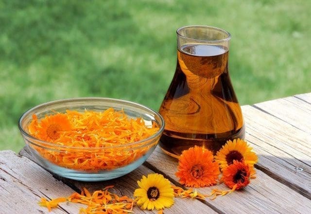 óleo base saúde cuidados pele rosto corpo unhas cabelos aromaterapia óleo essencial
