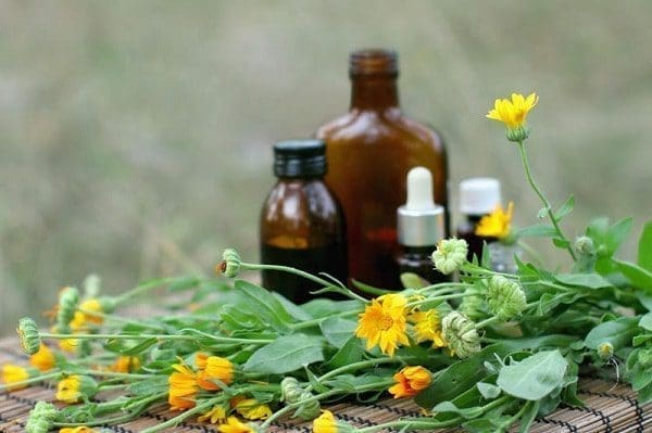 óleo calendula saúde cosméticos pele