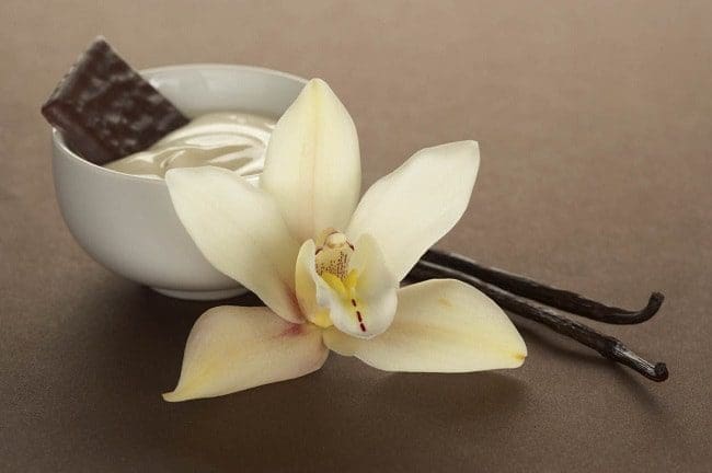 baunilha aromaterapia stress ansiedade saúde
