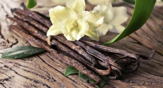 baunilha aromaterapia stress ansiedade saúde