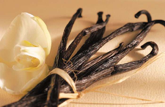 óleo essencial de baunilha aromaterapia saúde beleza