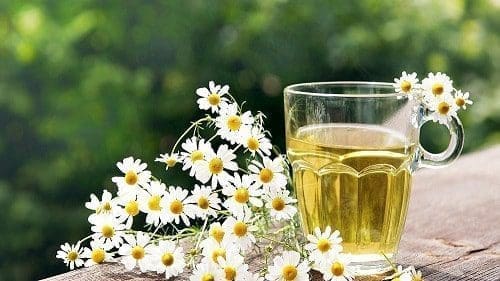 óleo base saúde cuidados pele rosto corpo unhas cabelos aromaterapia óleo essencial