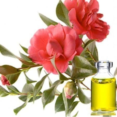 óleo de camelia óleo base pele rosto cabelo saúde