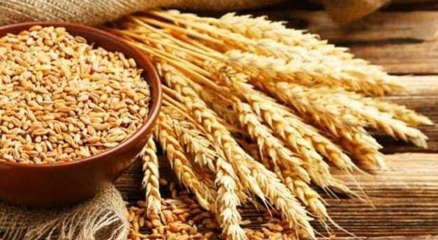 aveia diabetes saúde pele nutrição coração 