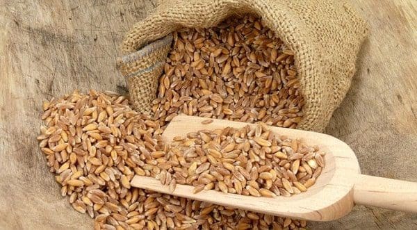 aveia diabetes saúde pele nutrição coração 