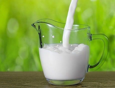 leite de cabra saúde dieta alimentação criança diabetes insonia perda de peso