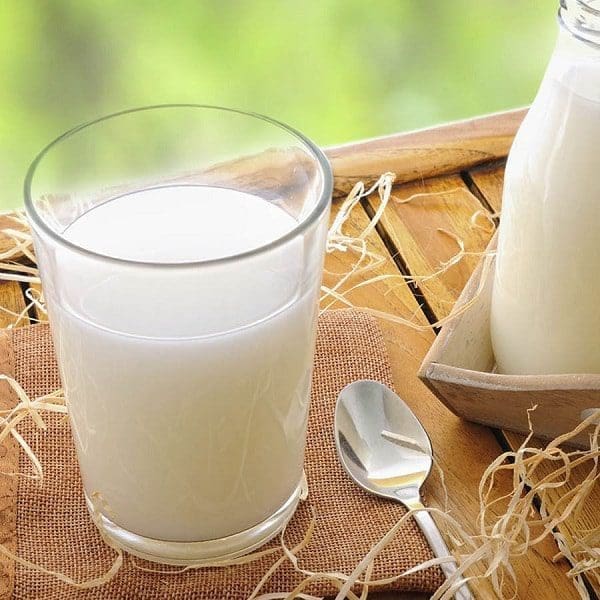 leite de cabra saúde dieta alimentação criança diabetes insonia perda de peso
