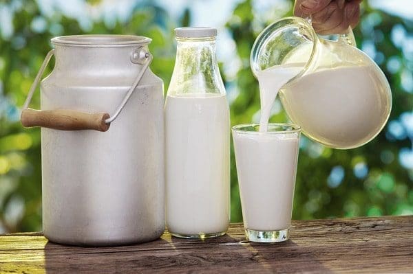 leite de vaca saúde dieta alimentação perda de peso crianças nutrição