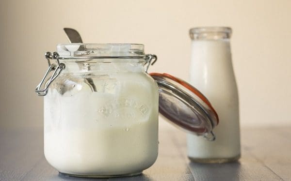 leite de vaca saúde dieta alimentação perda de peso crianças nutrição