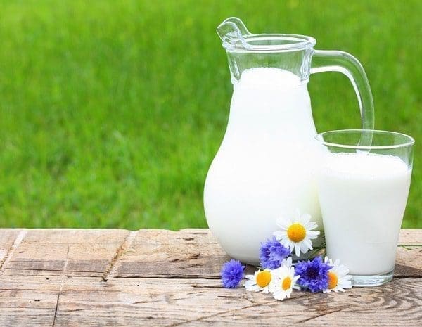 leite de vaca saúde dieta alimentação perda de peso crianças nutrição