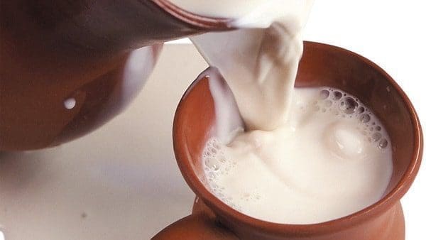 leite de vaca saúde dieta alimentação perda de peso crianças nutrição