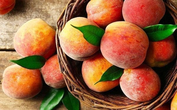 Óleo de semente de pêssego aromaterapia saúde pele rosto corpo cabelos