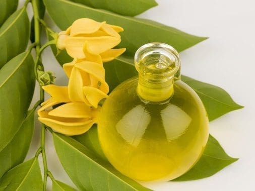 Óleo essencial de ylang-ylang saúde aromaterapia pele rosro corpo