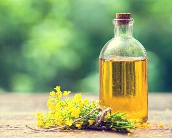 pele seca óleo base beleza saúde envelhecimento tratamento natural