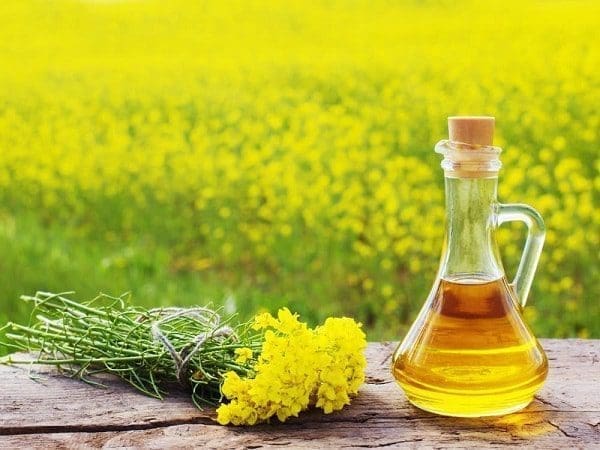 pele seca óleo base beleza saúde envelhecimento tratamento natural