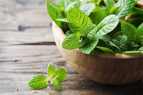 óleo essencial aromaterapia tratamento natural saúde