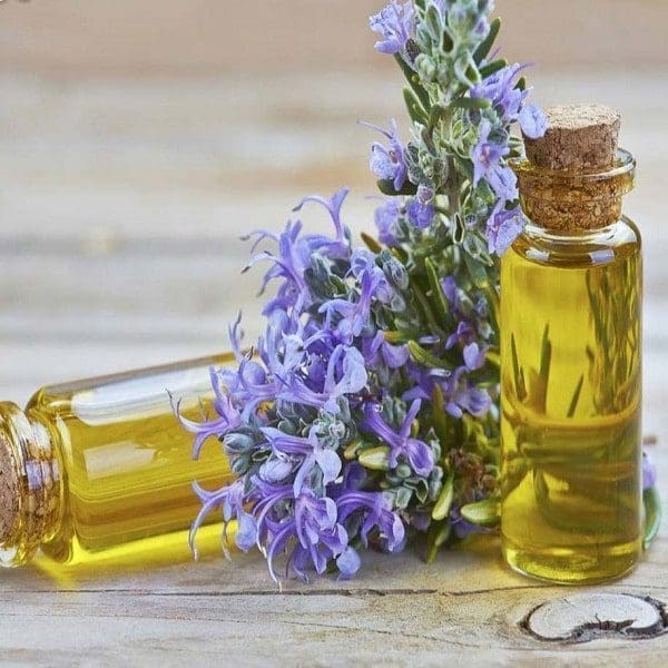 Óleo essencial alecrim aromaterapia cabelos pele rosto