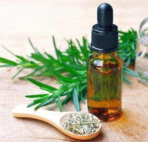 Óleo essencial alecrim aromaterapia cabelos pele rosto