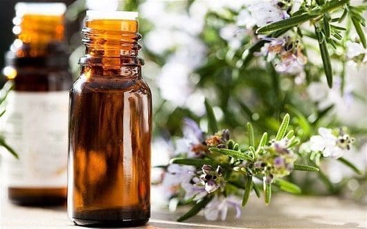 Óleo essencial alecrim aromaterapia cabelos pele rosto
