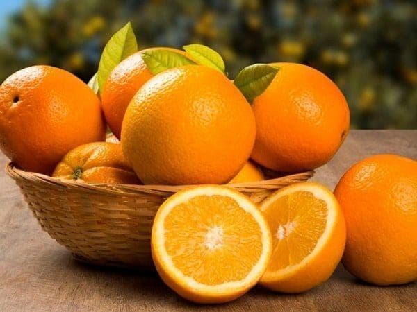 óleo essencial aromaterapia tratamento natural saúde