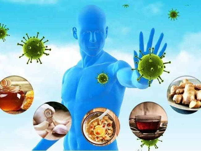 imunidade saúde dieta alimentação proteção corpo