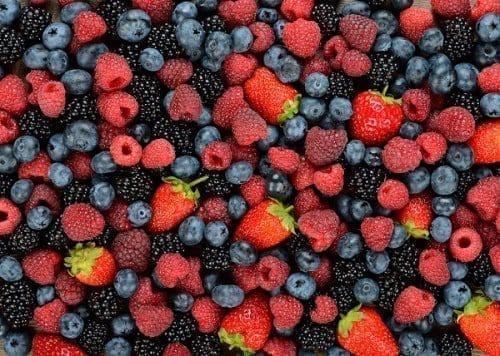 imunidade saúde dieta alimentação proteção corpo