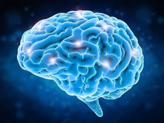 A niacina, também conhecida por muitos como vitamina B3, é considerada um dos nutrientes mais importantes para o corpo humano